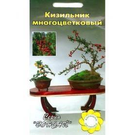 Кизильник многоцветковый