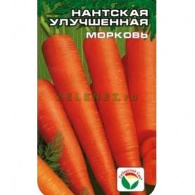 Морковь Нантская улучшенная СС