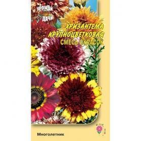 Хризантема Крупноцветковая смесь УУ