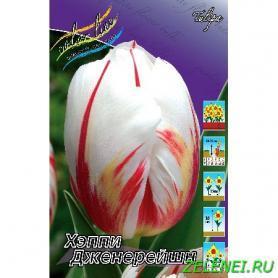 Тюльпан Хэппи Дженерейшн, 3шт