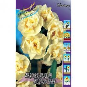 Нарцисс Бридал Краун (Narcissus Bridal Crown), 1шт