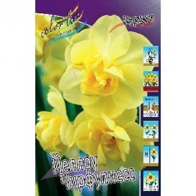 Нарцисс Йеллоу Чирфулнесс (Narcissus Yellow Cheerfulness), 1шт