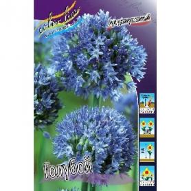 Лук декоративный Голубой (Allium Caeruleum (azureum), 3шт