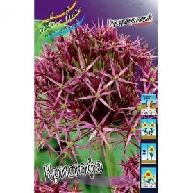 Лук декоративный Кристофа (Allium Christophii), 3шт