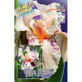 Ирис Германский ПИЧ ДЖЕМ (Iris germanica Peach Jam), 1шт